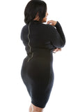 Curvy Turtle Neck Dress