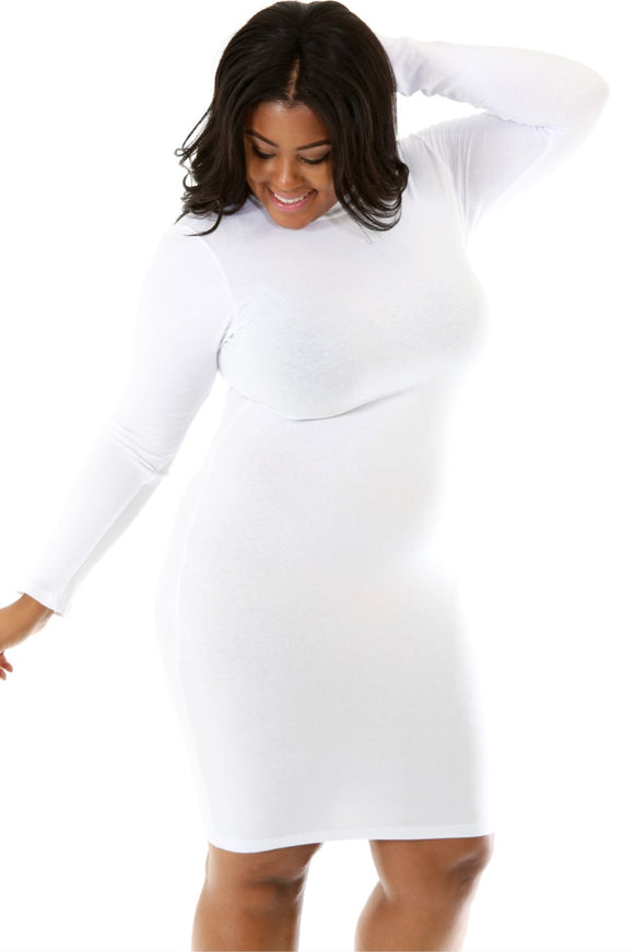 Curvy Turtle Neck Dress