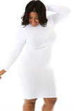 Curvy Turtle Neck Dress